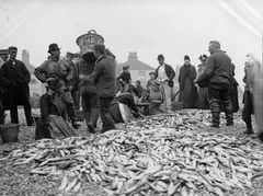 George Woods circa 1890